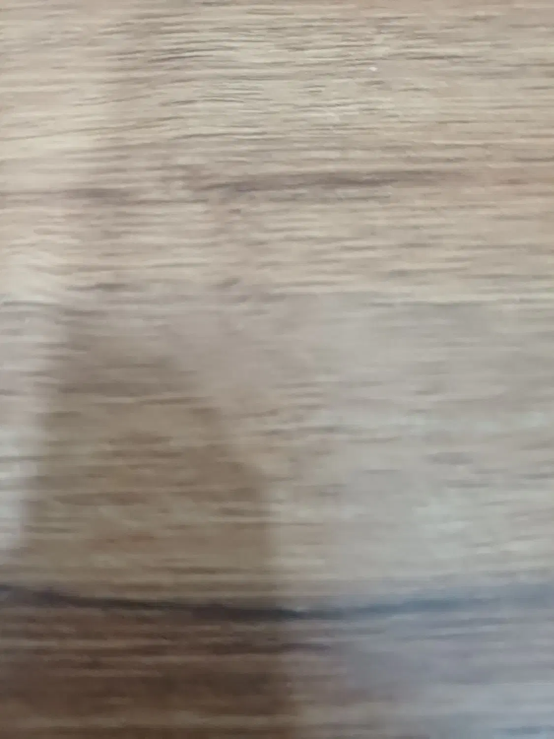 حواله شاهین Gمعاوضه با خودرو اطلس|خودرو سواری و وانت|زاهدان, |دیوار