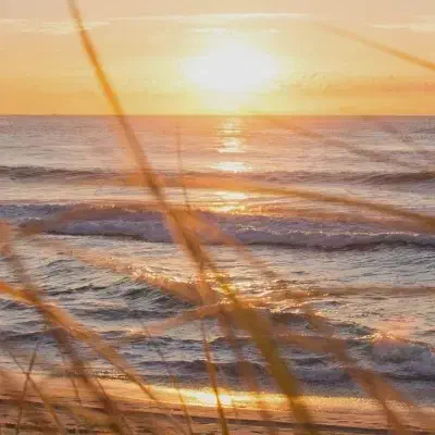 یک عددضامن نیاز دارم برا وام مهربانی|خدمات مالی، حسابداری، بیمه|زابل, |دیوار