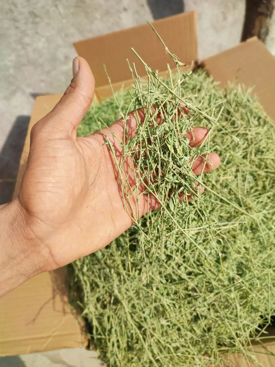 یونجه/علوفه|لوازم جانبی حیوانات|تهران, علم و صنعت|دیوار