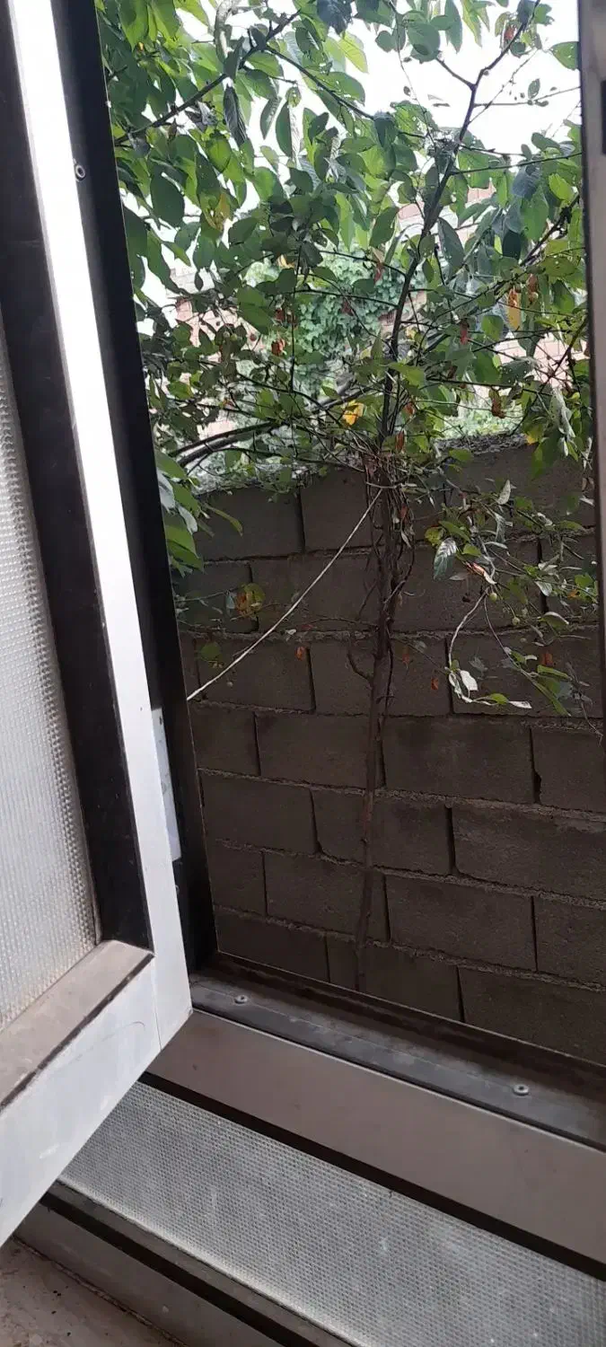 فروش خانه ویلای|فروش خانه و ویلا|دوزین, |دیوار