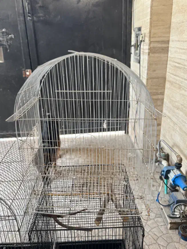 قفس|لوازم جانبی حیوانات|بوشهر, |دیوار