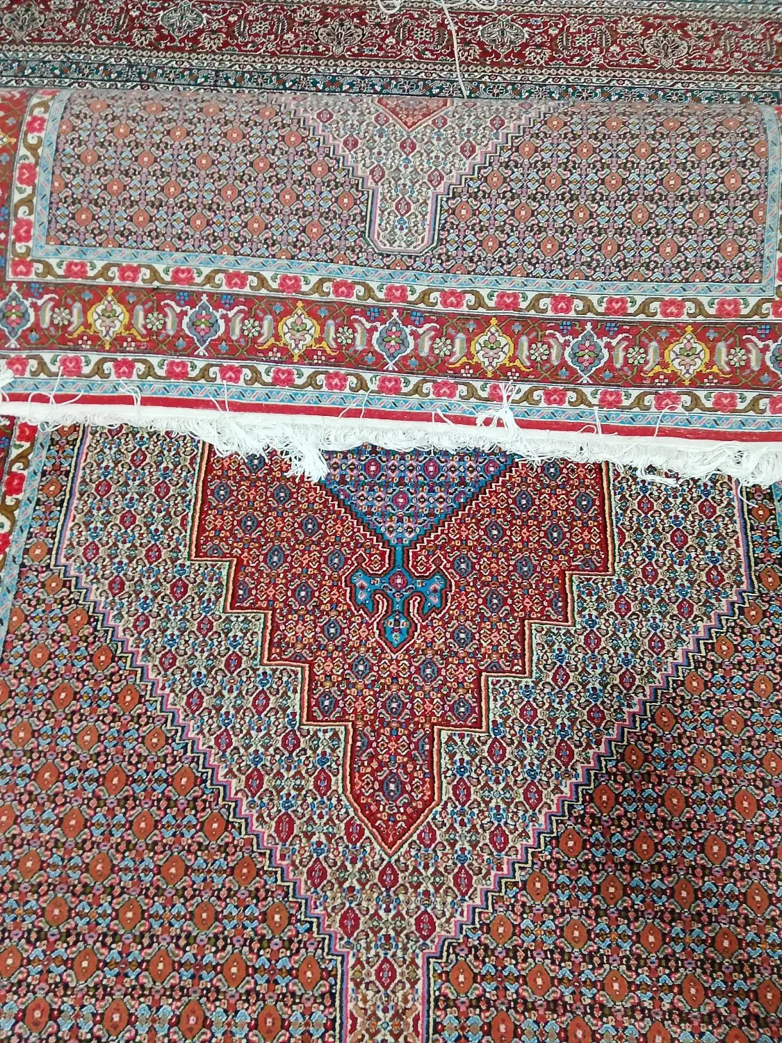 فرش کوردی|فرش|سنندج, |دیوار