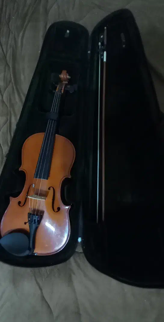 فروش ویولن|ویولن|دهدشت, |دیوار