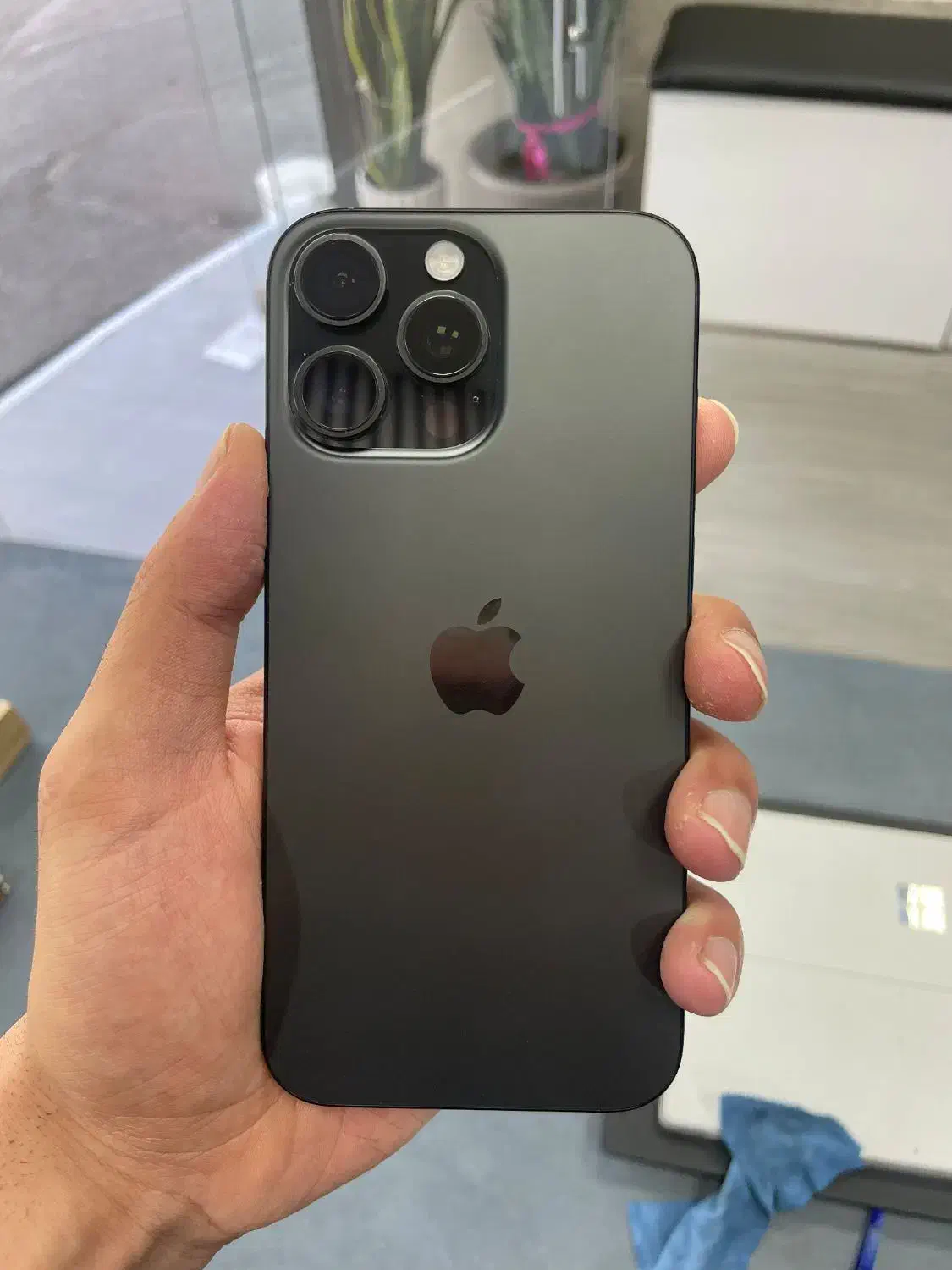 ۱۶ پرومکس Zaa 256 gb|موبایل|قزوین, |دیوار