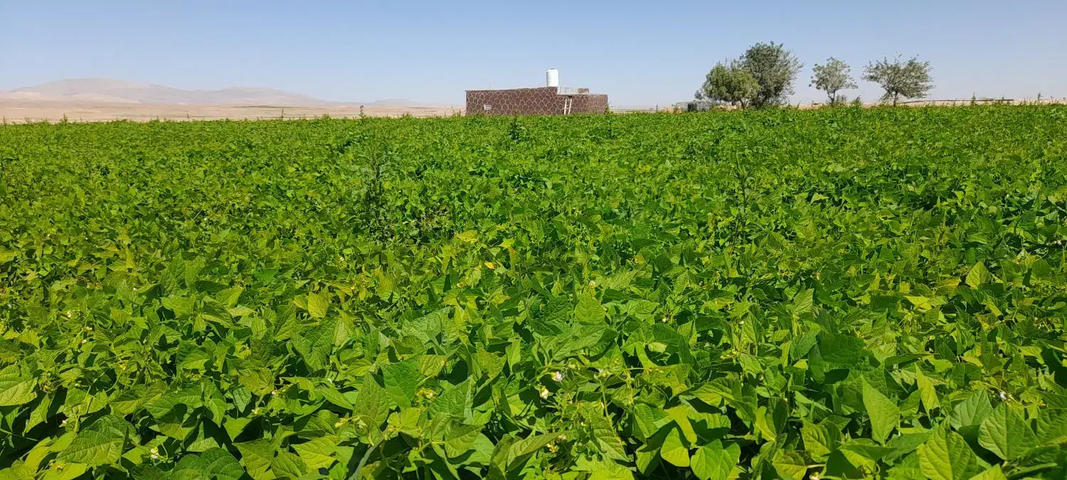 فروش زمین کشاورزی|فروش دفتر صنعتی، کشاورزی، تجاری|سمیرم, |دیوار