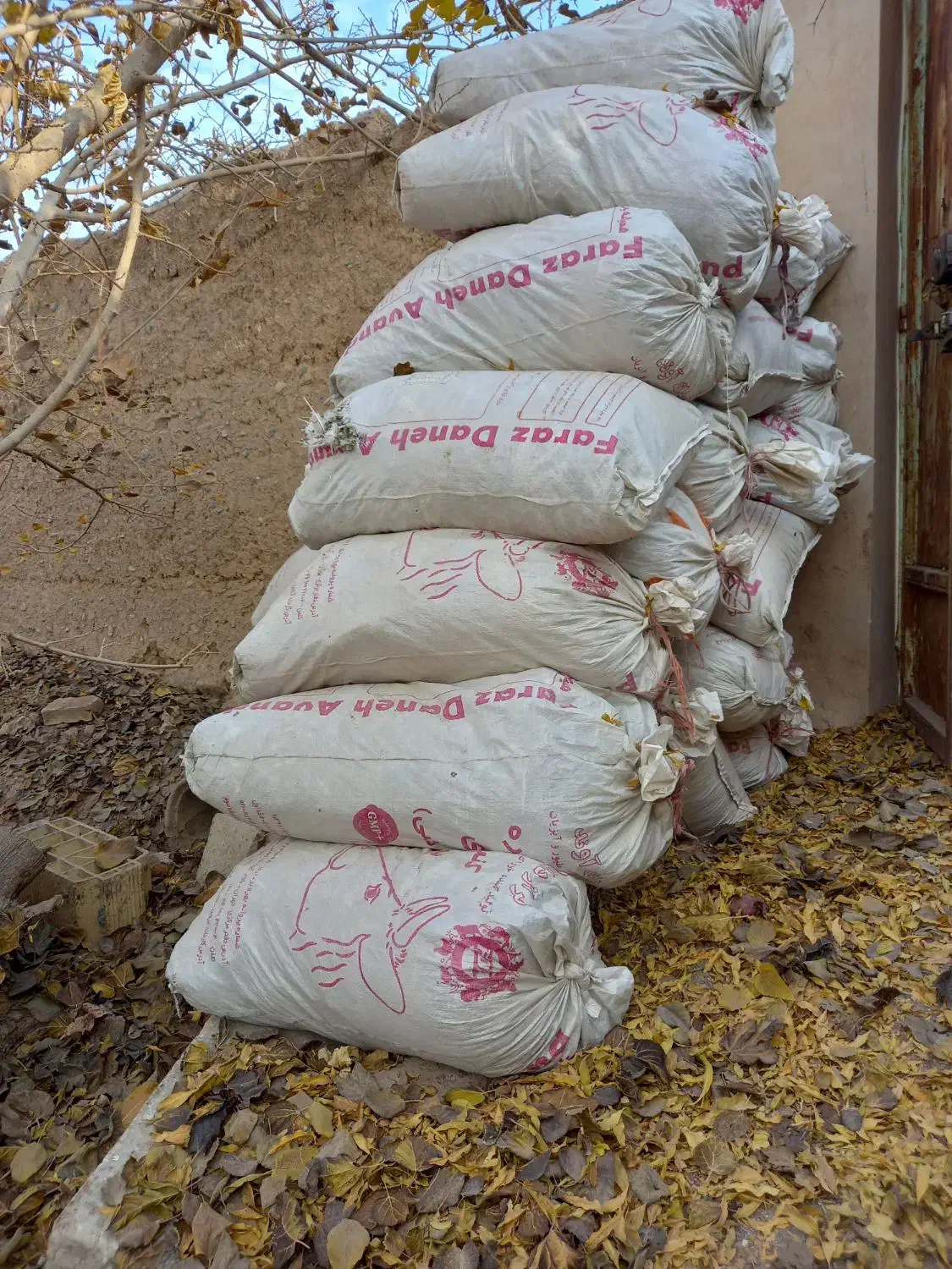 کود کبوتر|گل و گیاه طبیعی|مهریز, |دیوار