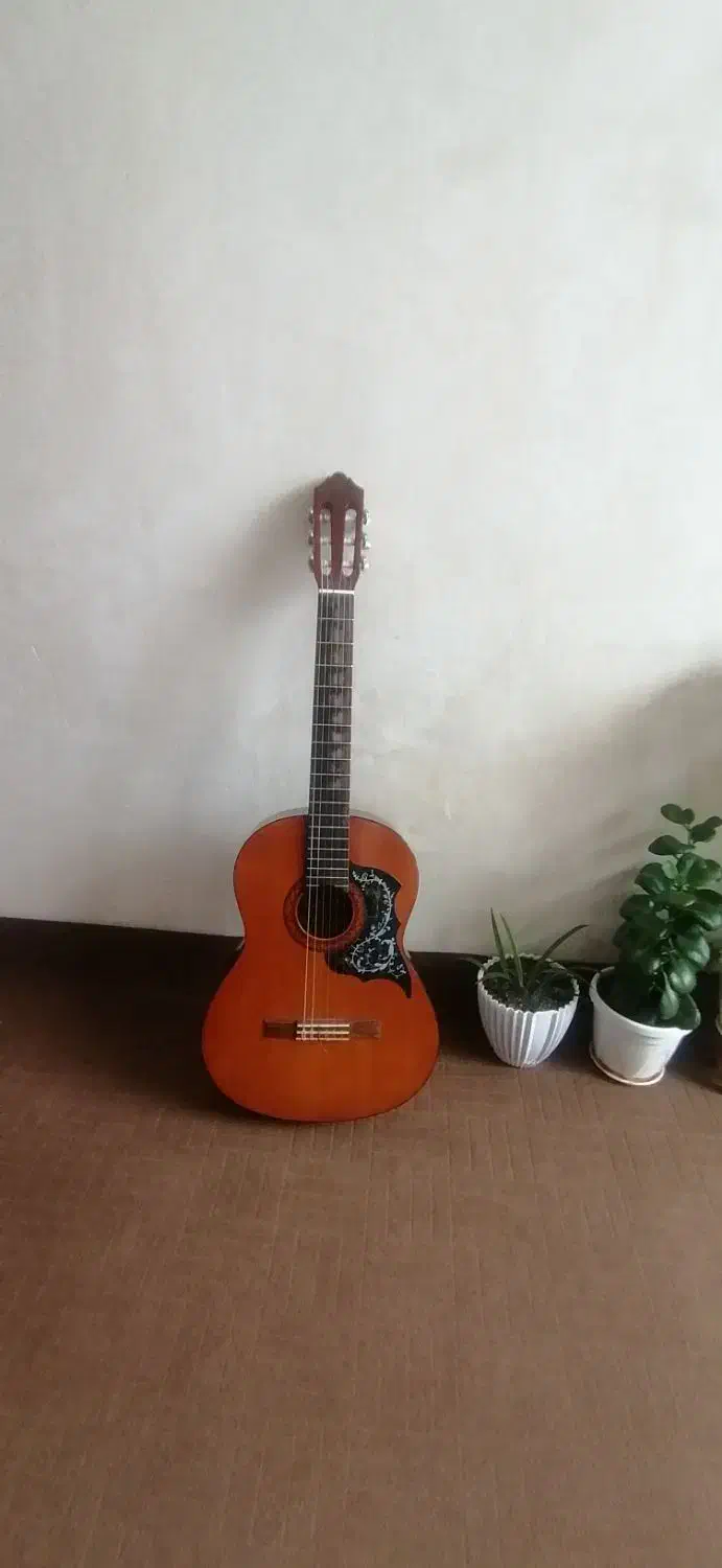 گیتار یاماها C40 اصل اندونزی|گیتار، بیس، امپلیفایر|کرمانشاه, |دیوار