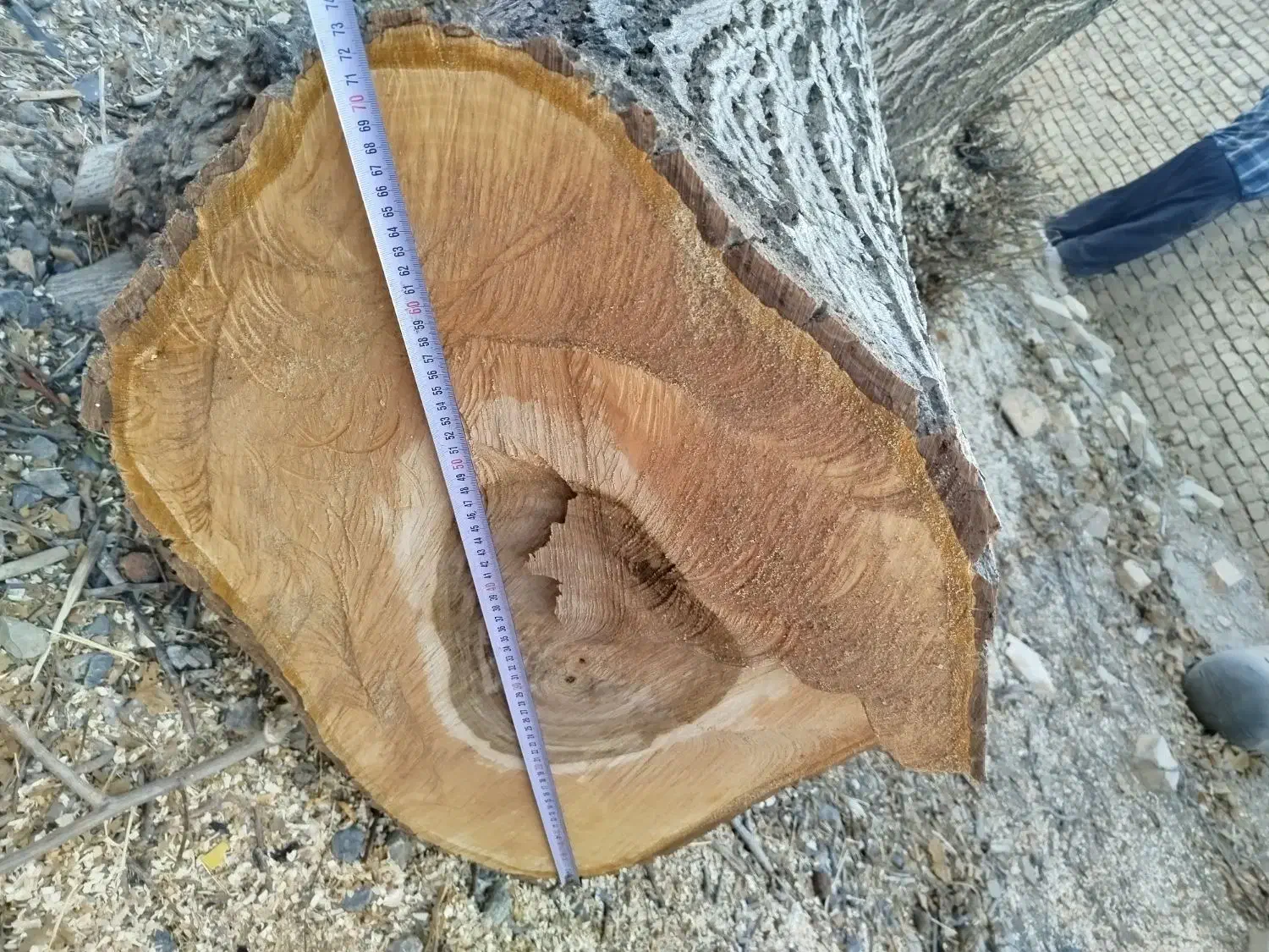 خریدوفروش انواع چوب|عمده‌فروشی|خمین, |دیوار