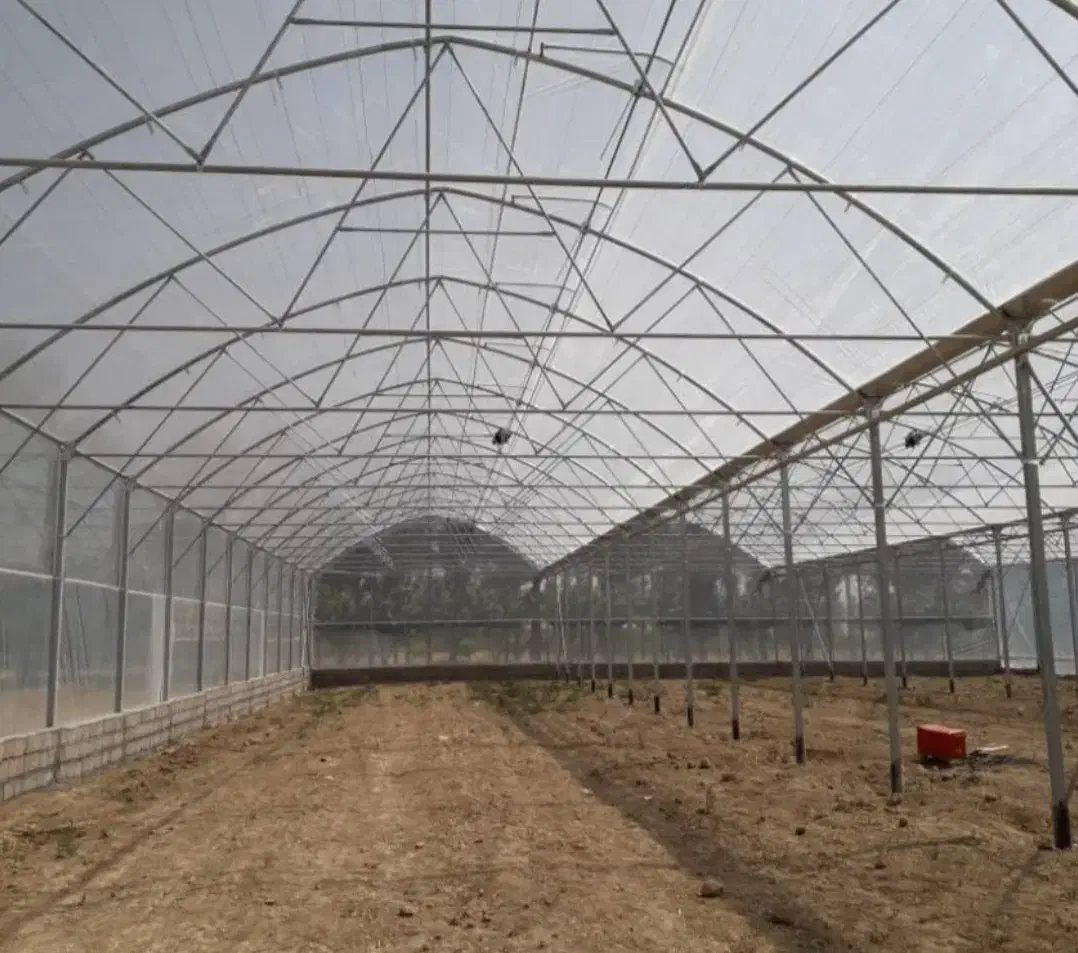 ساخت سازه گلخانه صفرتاصد(نقدواقساط )|خدمات پیشه و مهارت|شیراز, شهرک آرین|دیوار