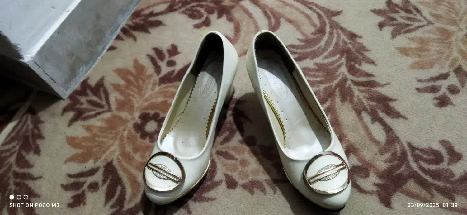 وسایل مورد نیاز|کلکسیون و سرگرمی|نهاوند, |دیوار