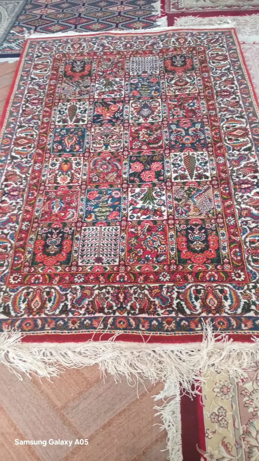 قالی دستبافت نو|فرش|کیار, |دیوار