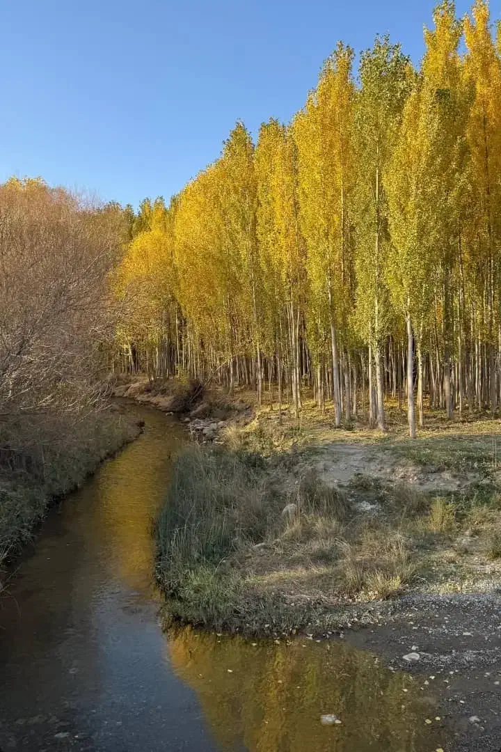 ویلا باغ مخصوص طبیعت دوستان لب رودخانه|اجارهٔ کوتاه‌مدت ویلا و باغ|شیراز, محمدیه|دیوار