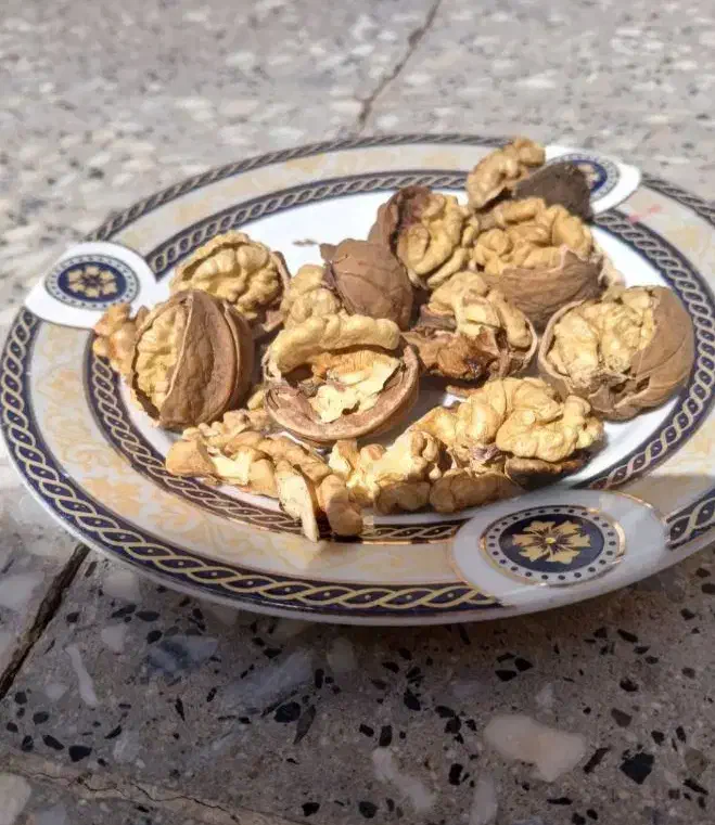 خشکبار  گردو بادام و...|خوردنی و آشامیدنی|تهران, شهرک آزادی|دیوار