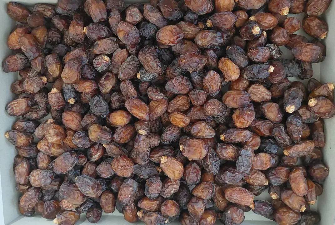 ریزه خاصویی|خوردنی و آشامیدنی|جم, |دیوار