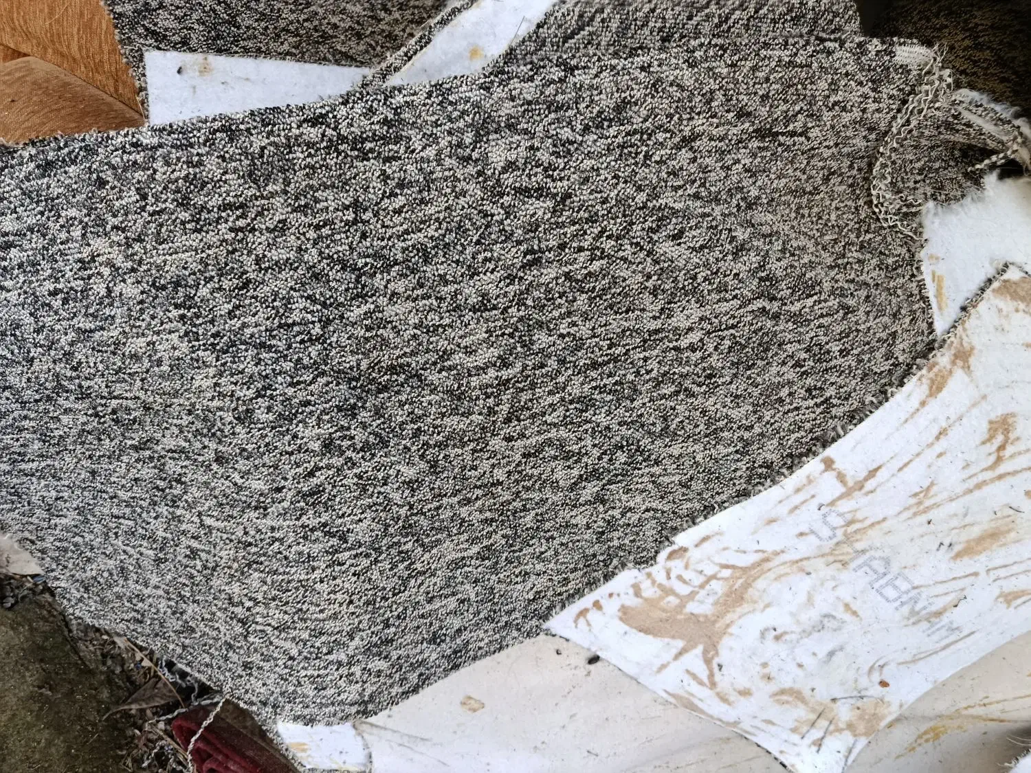 موکت تشک والیاف|موکت|چالوس, |دیوار