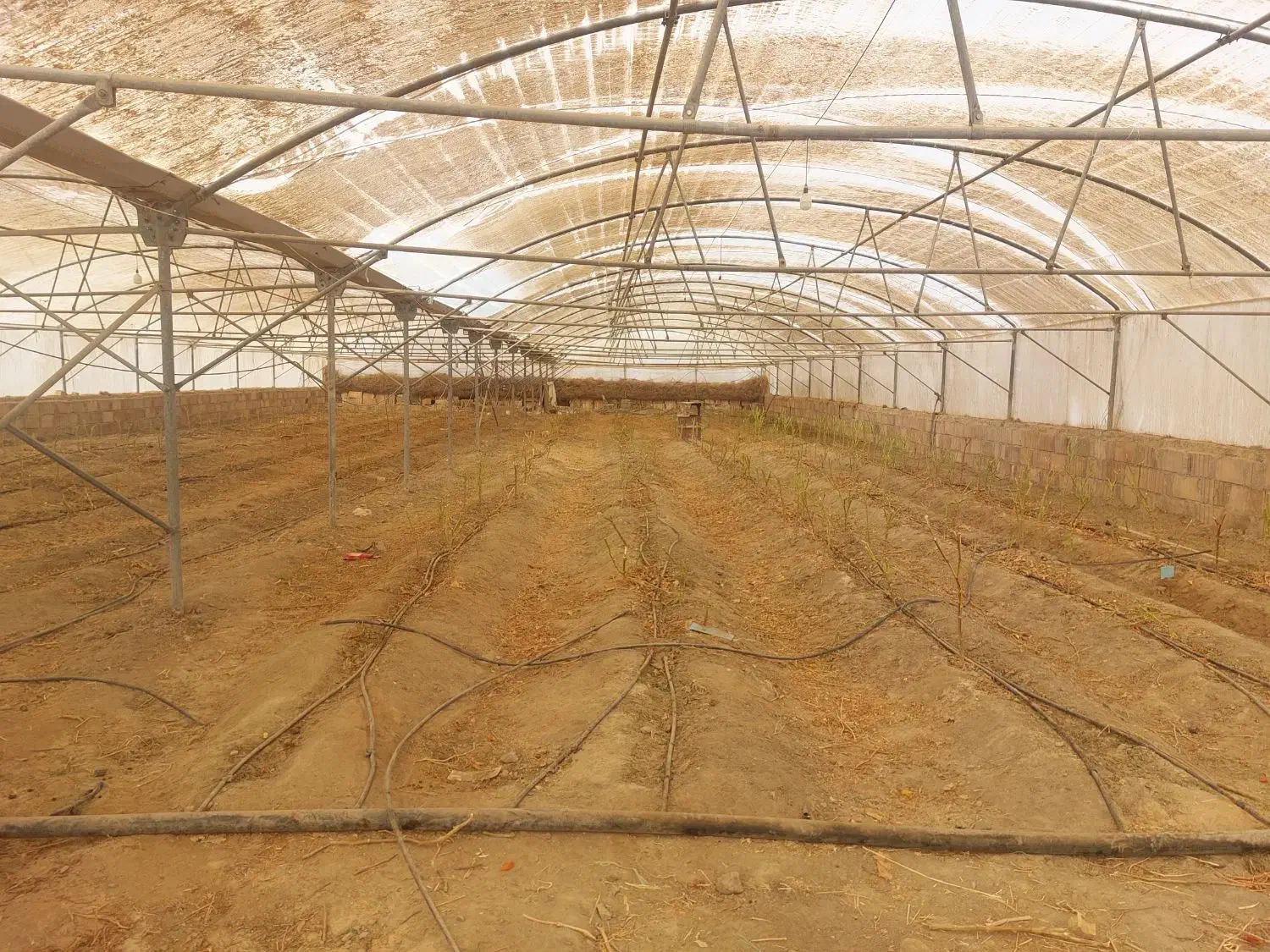 گلخانه|عمده‌فروشی|سبزوار, چهارراه فرودگاه|دیوار