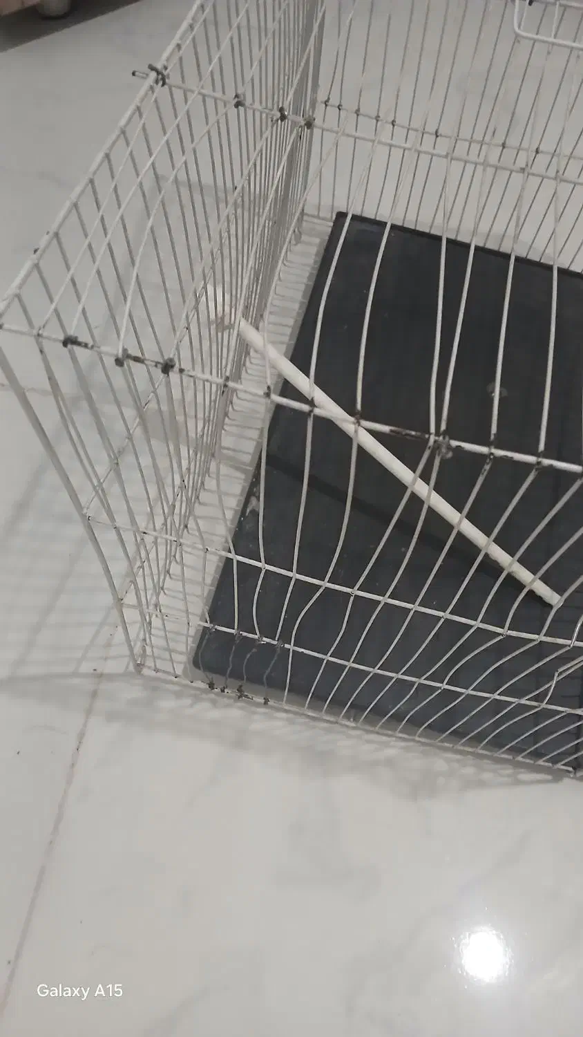 قفس|لوازم جانبی حیوانات|مشهد, ایثار|دیوار