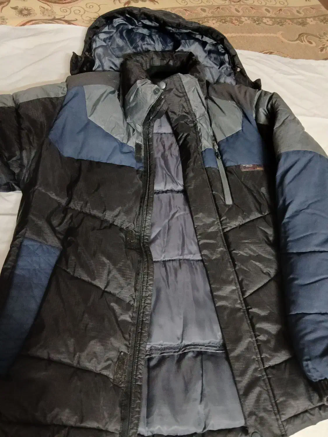 ۲ عدد کاپشن مردانه سالم|لباس|شیراز, انجیر|دیوار