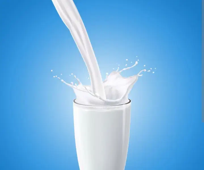 شیر گاو|خوردنی و آشامیدنی|جلگه ماژان, |دیوار