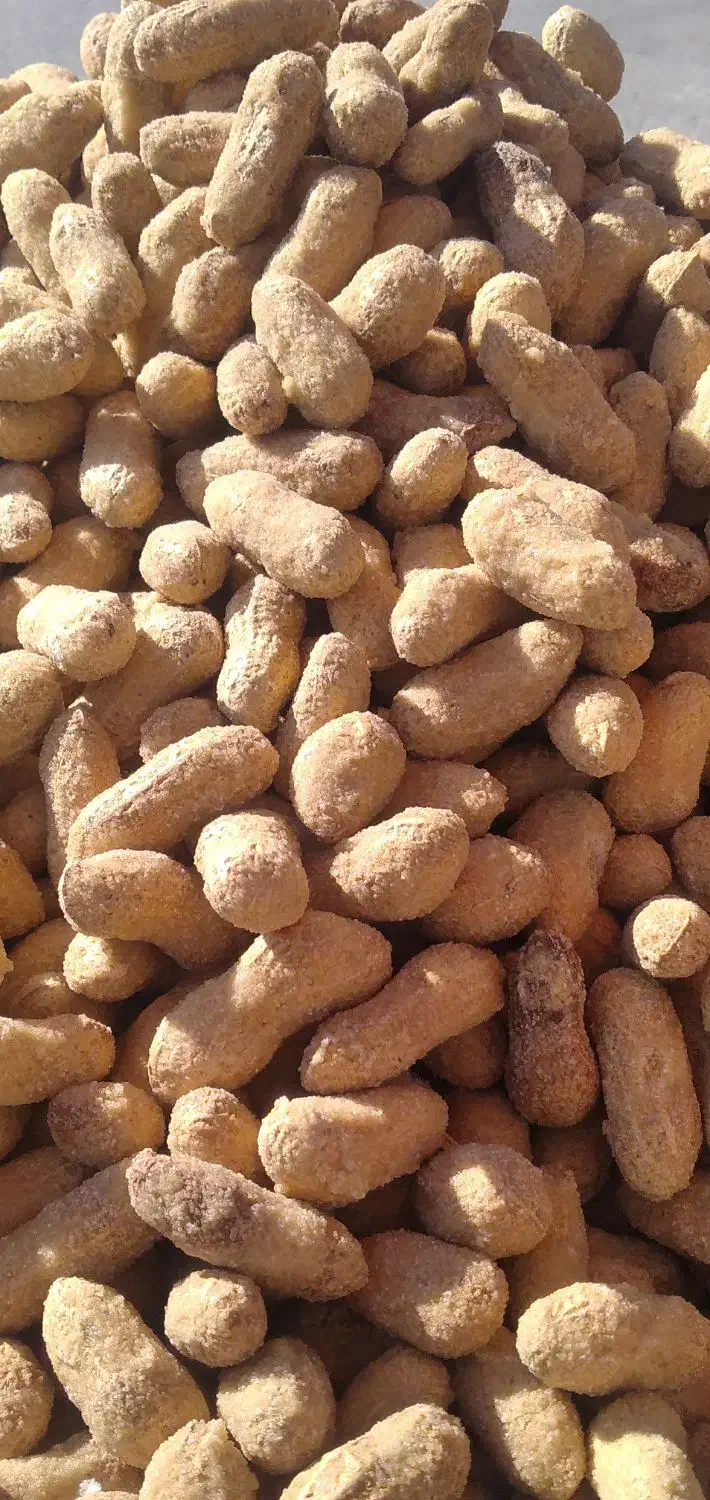 بادام زمینی با پوست(حراج)|عمده‌فروشی|بندر ماهشهر, |دیوار