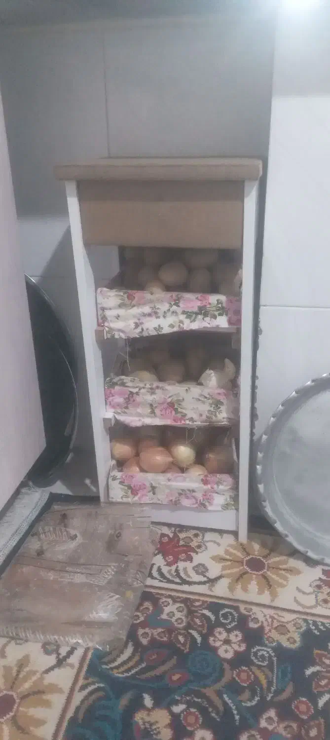 جا سیب وپیازی|ظروف نگهدارنده، پلاستیکی، یک‌بارمصرف|زاهدان, |دیوار