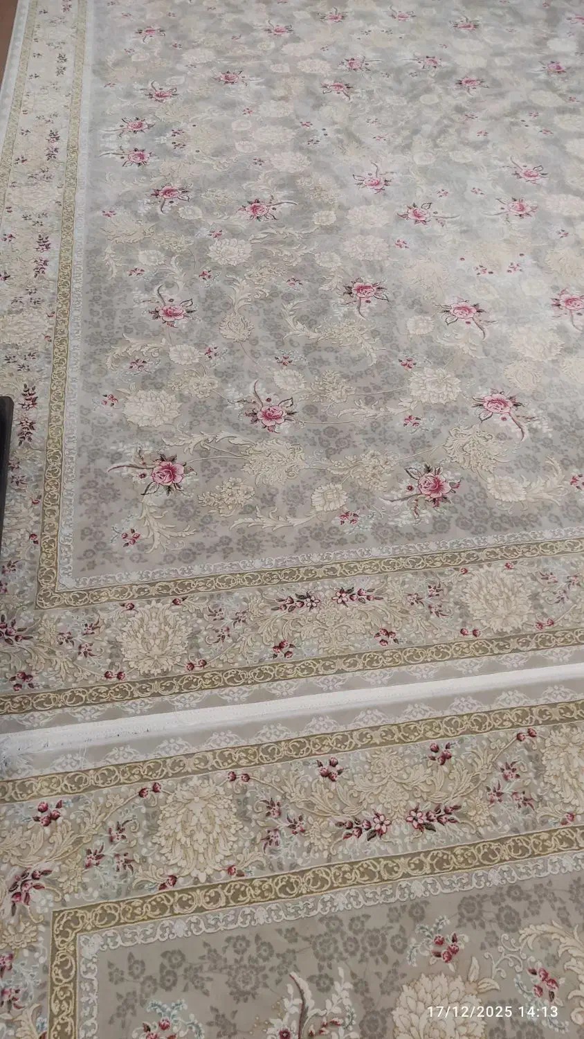 سه عدد قالی دوازده متری نو پلمپ گل برجسته|فرش|شیراز, شیخ علی چوپان|دیوار