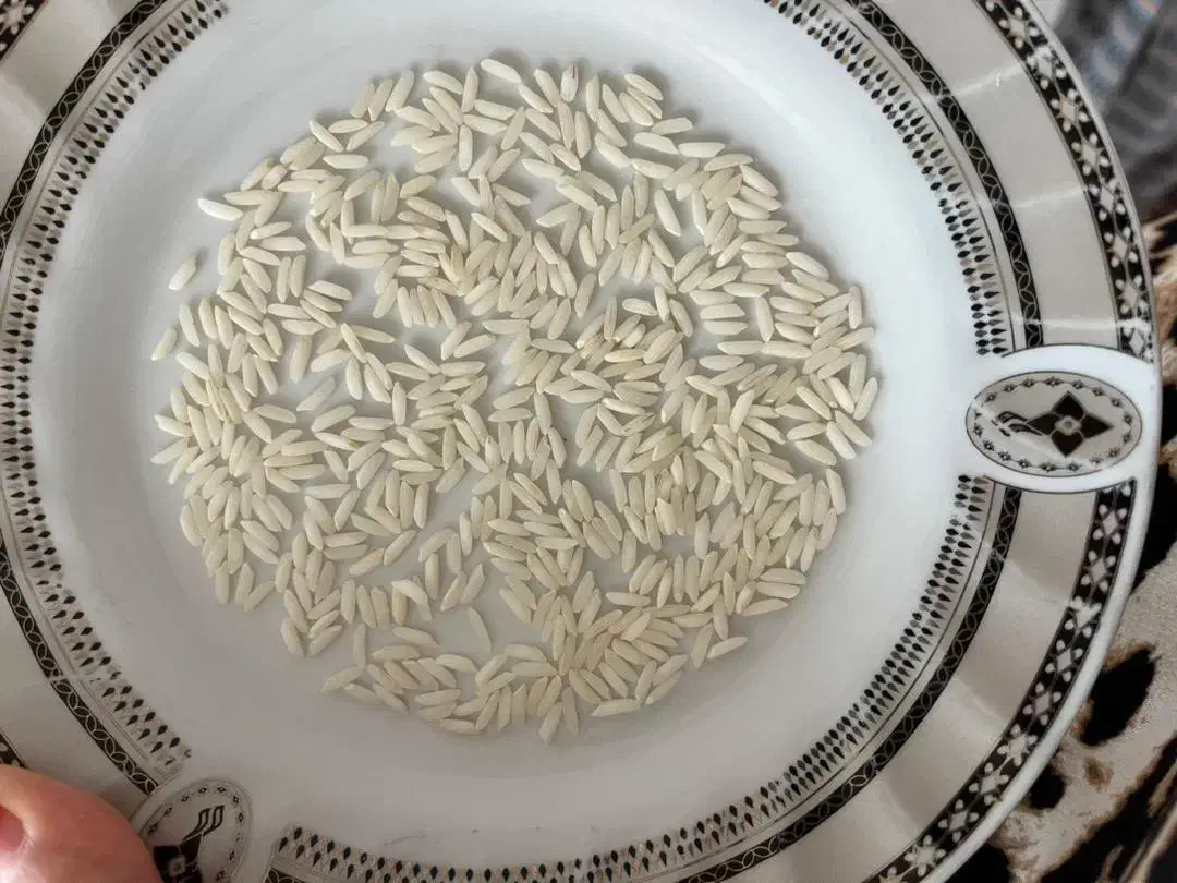 برنج هاشمی درجه 1محصول 1404خوش عطروخوش طعم|خوردنی و آشامیدنی|لاهیجان, کوی زمانی|دیوار