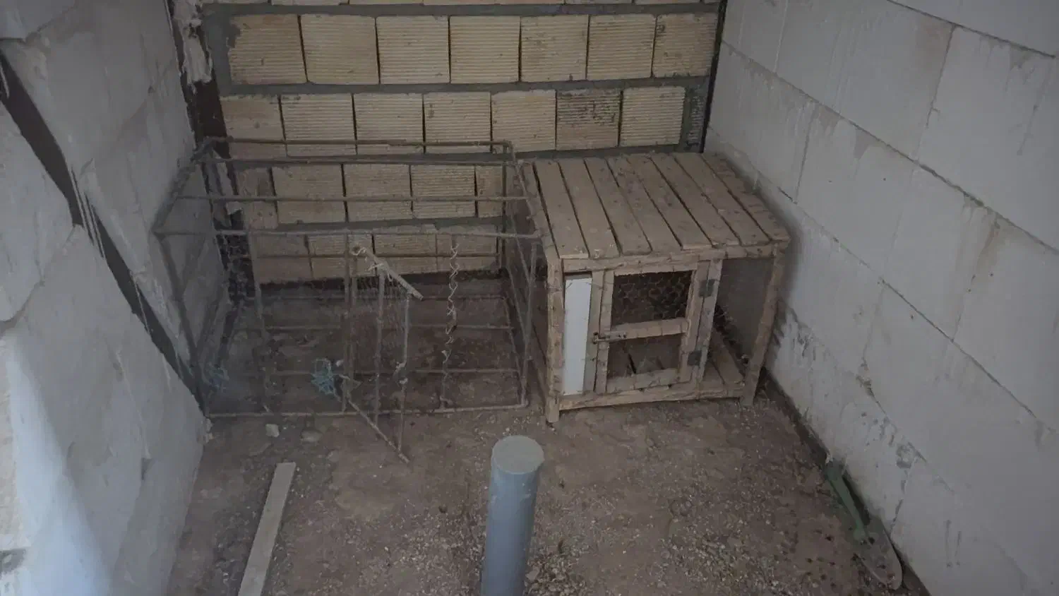 قفس|حراج|سرپل ذهاب, |دیوار