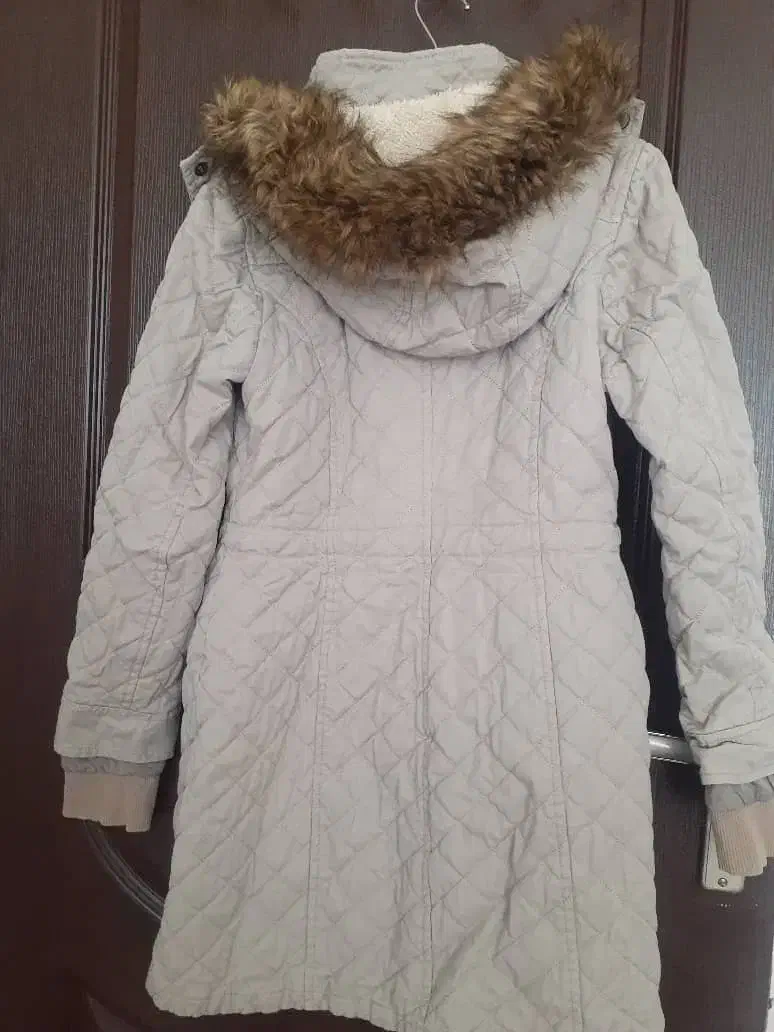 کاپشن داخل خز|لباس|سقز, |دیوار