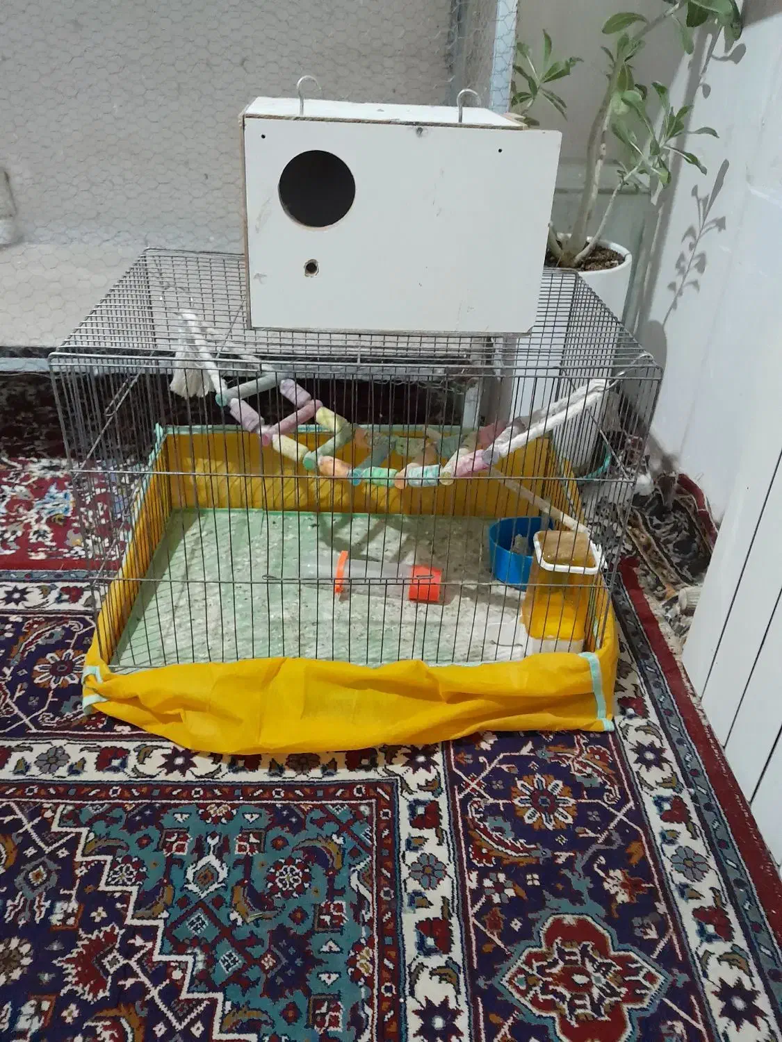 قفس پرنده|لوازم جانبی حیوانات|کاشان, شهرک خاتم الانبیا (مسکن ملی کاشان)|دیوار