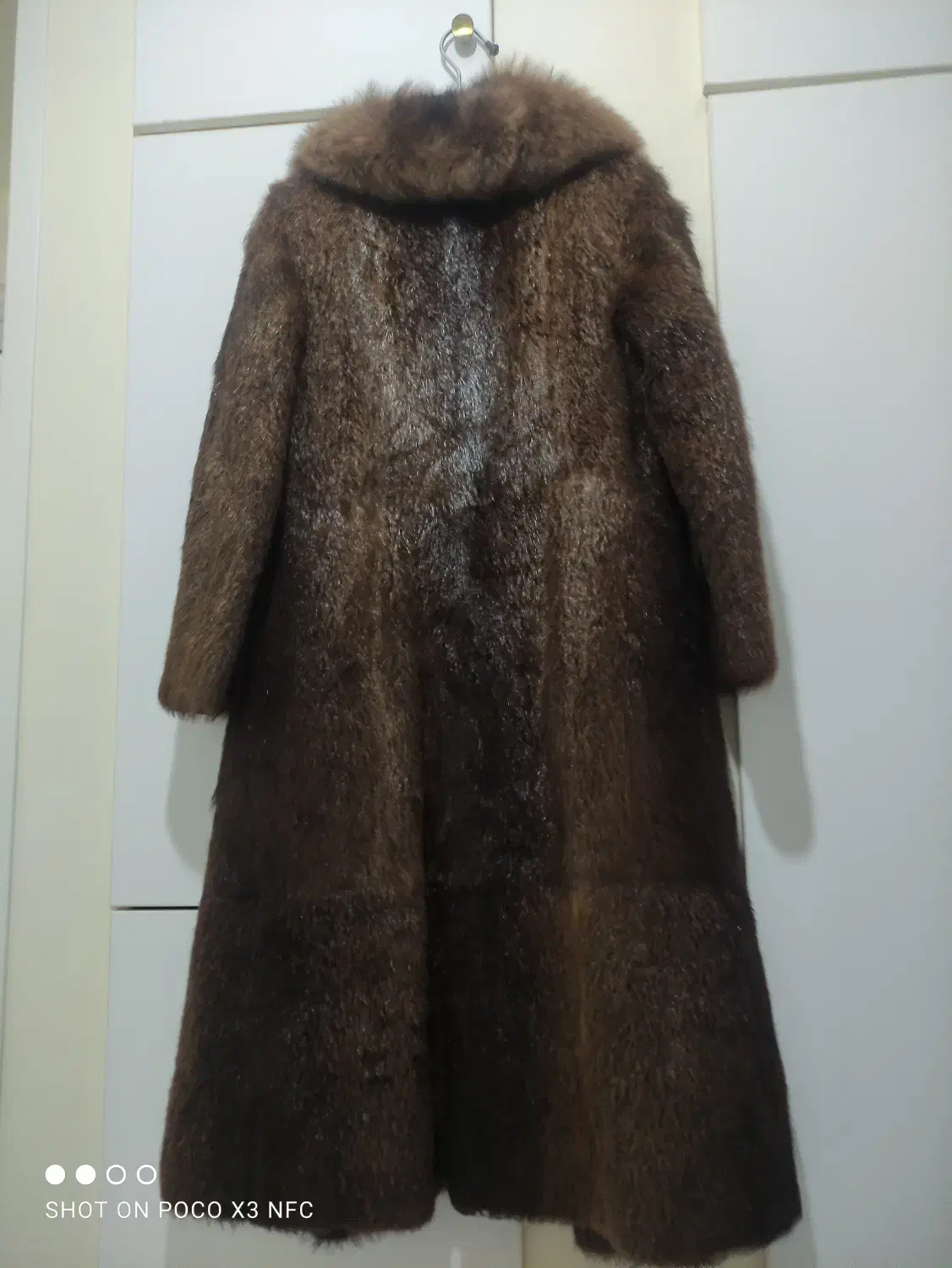 پالتو پوست چیلچیلا اصل|لباس|کرج, انبار مپنا|دیوار