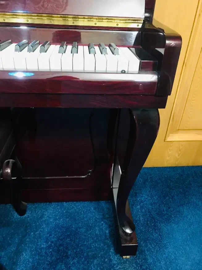 پیانو بوهمیا|پیانو، کیبورد، آکاردئون|اصفهان, پروین|دیوار