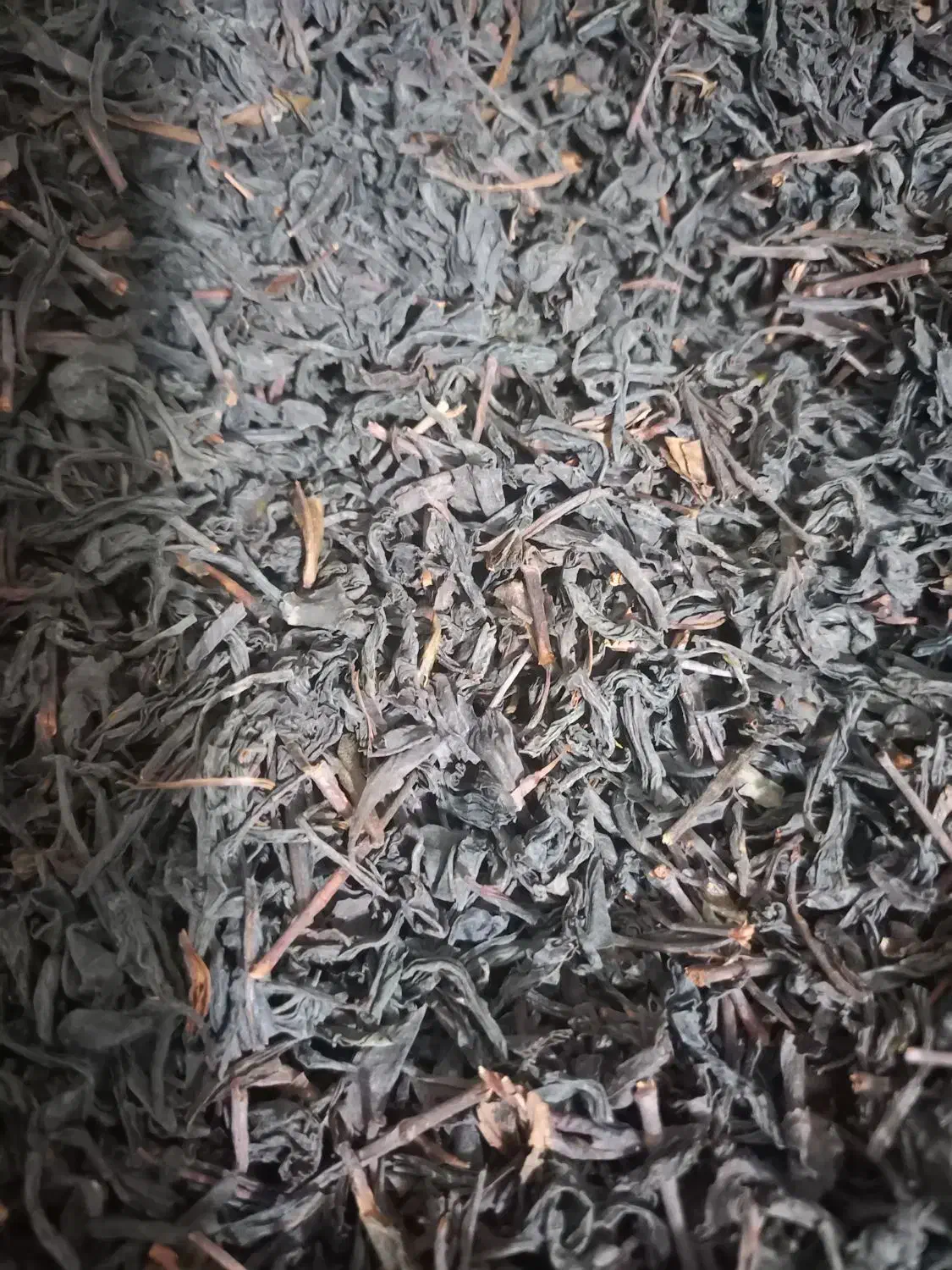 چای شمال|خوردنی و آشامیدنی|محمدشهر, شهرک پیام (مهرالبرز)|دیوار