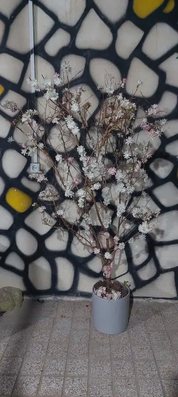 گل کنار سالنی|گل مصنوعی|ملارد, |دیوار