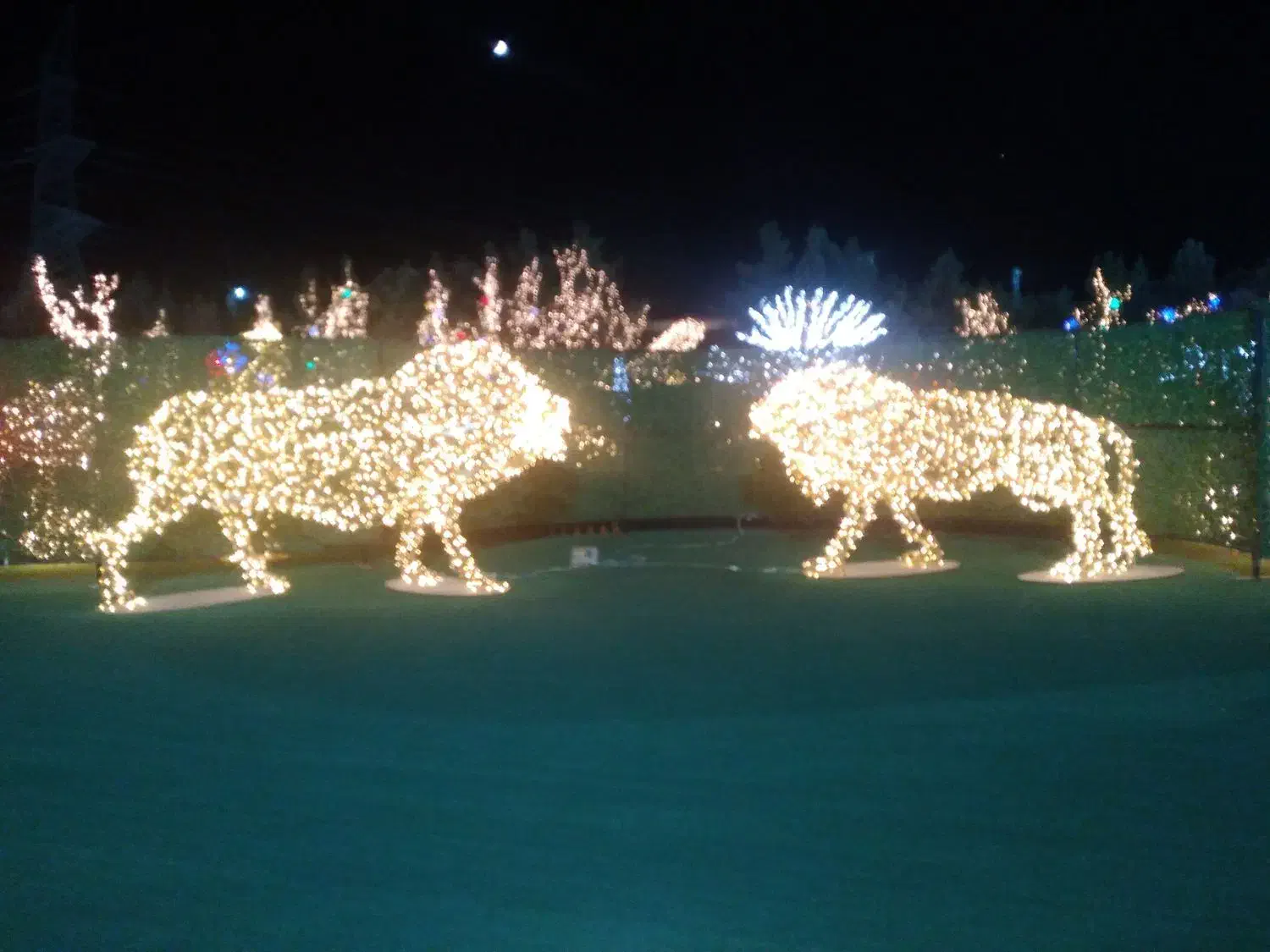 در خدمت تونم|خدمات نظافت|کاشان, عربها|دیوار