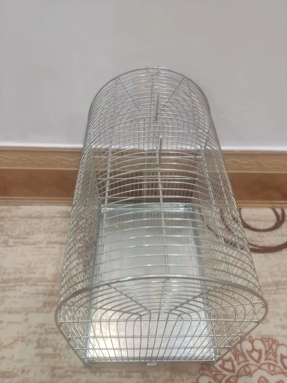 قفس سهره|لوازم جانبی حیوانات|بروجرد, |دیوار