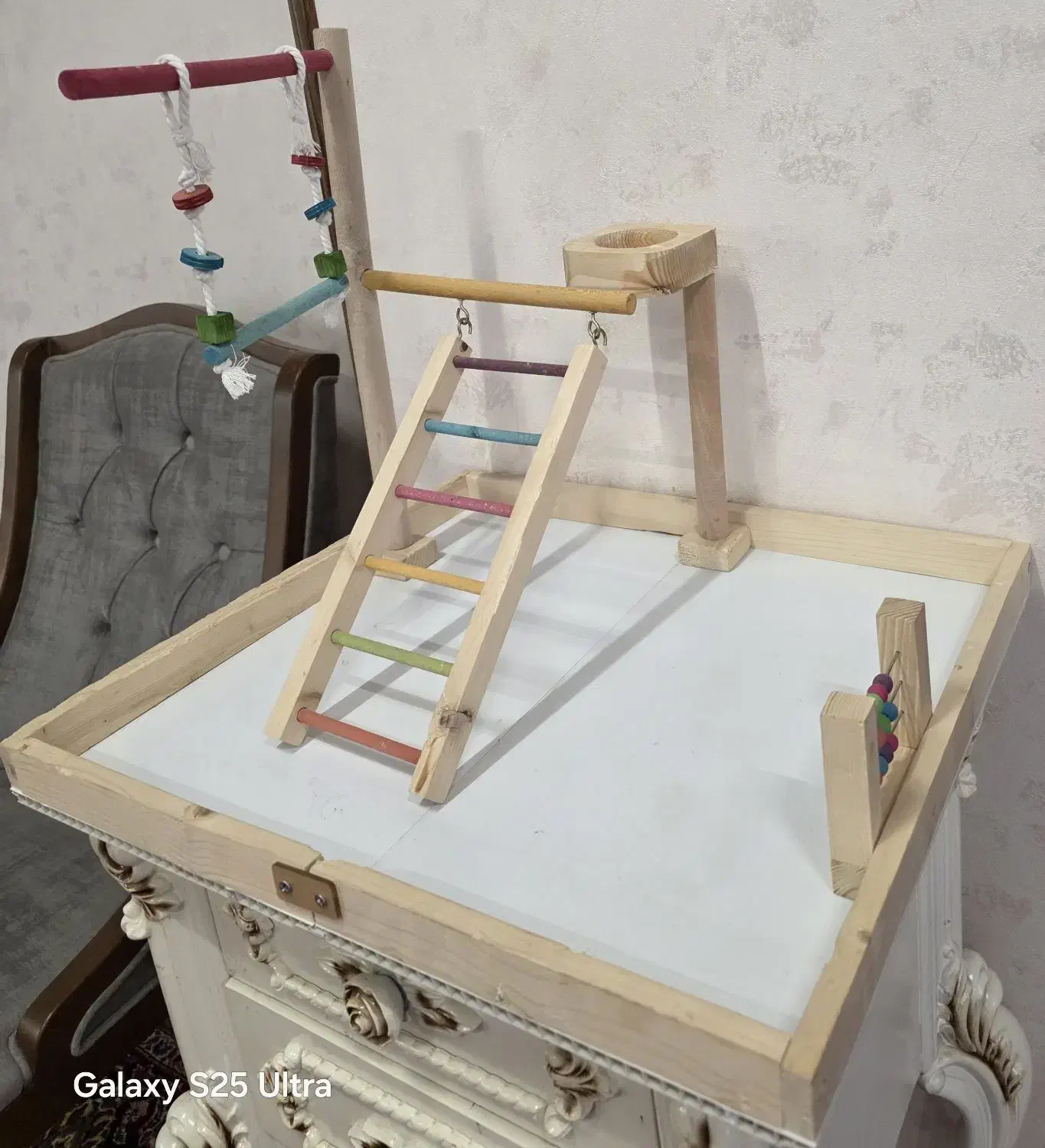 پارک بازی پرنده|لوازم جانبی حیوانات|کرج, فاز ۴ مهرشهر|دیوار