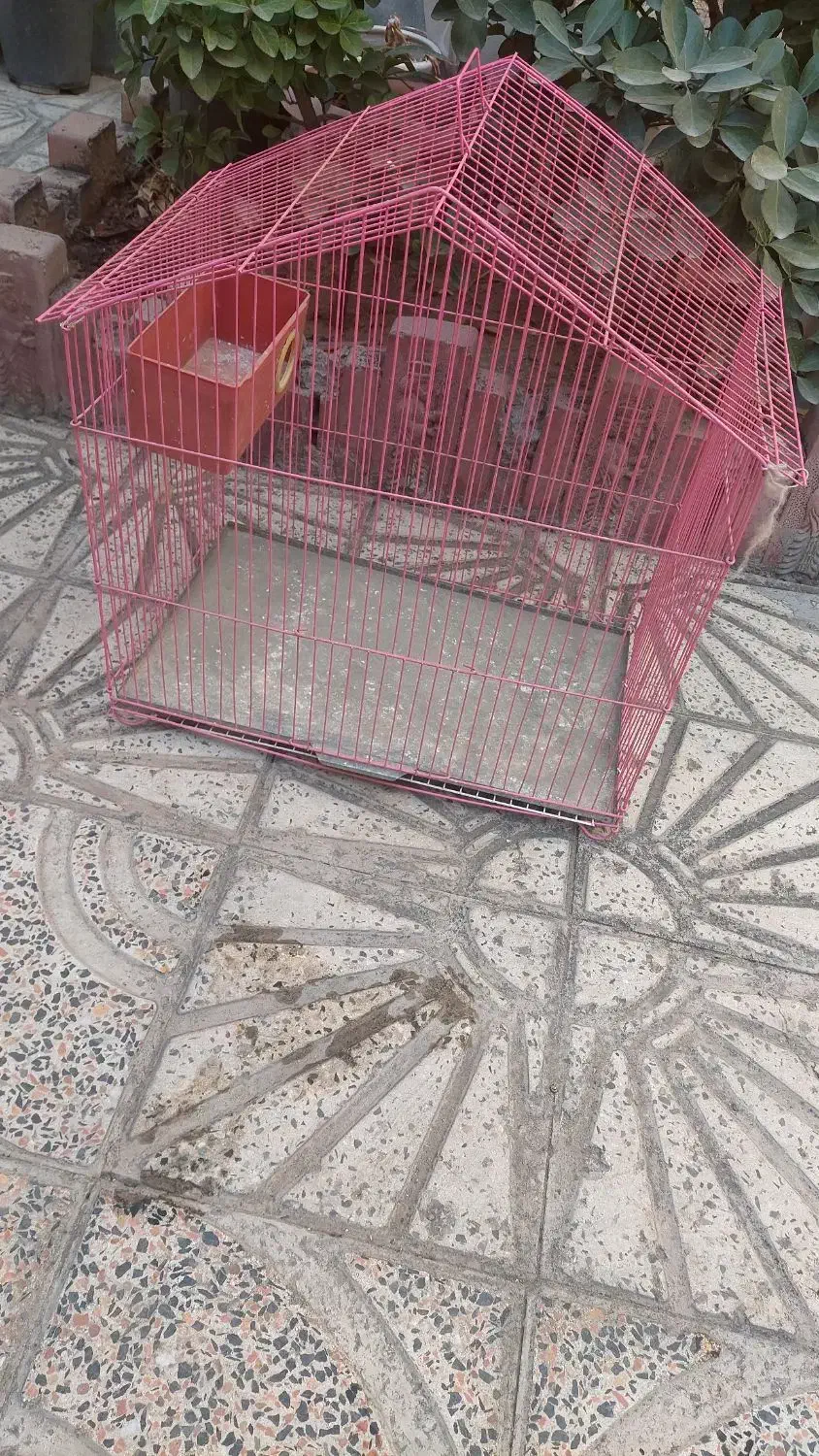 قفس پرنده|لوازم جانبی حیوانات|قدس, شهر‌قدس|دیوار