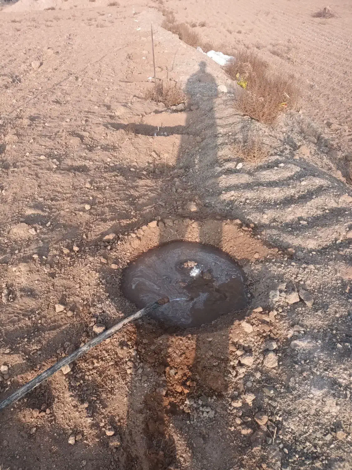 فروش زمین بامجوزگلخانه|فروش دفتر صنعتی، کشاورزی، تجاری|تیران, |دیوار