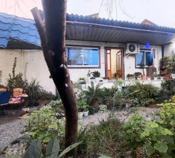 ویلا ۲۹۰ متری ،بافت مسکونی ،دونبش،جای دنج وخلوت|فروش خانه و ویلا|فریدونکنار, |دیوار