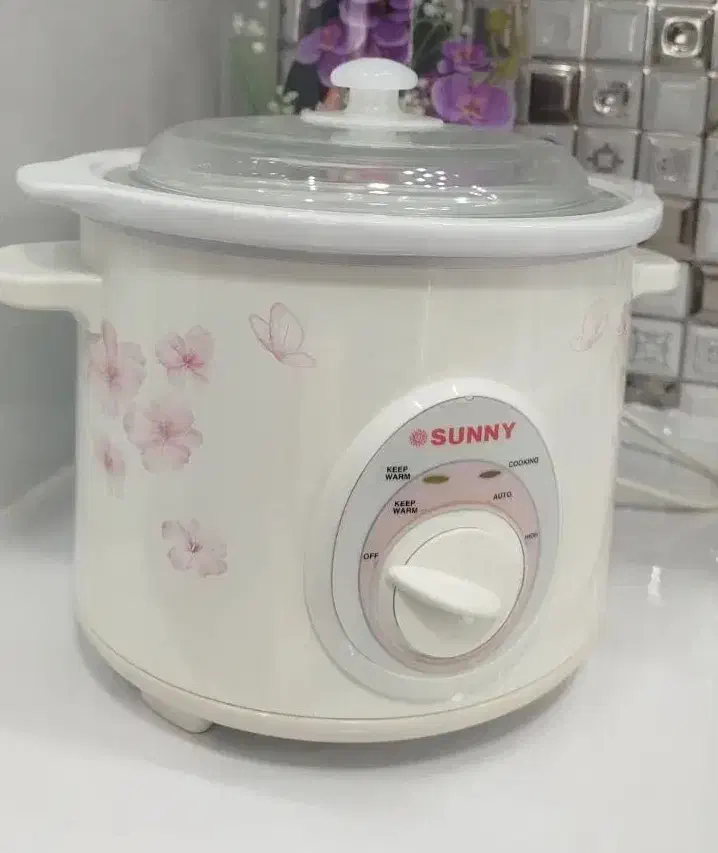 آرام پز|سایر لوازم برقی|طبس, |دیوار