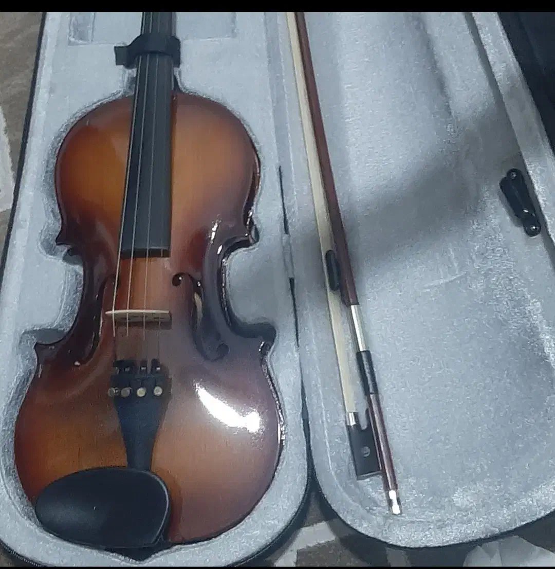 ویالون Tf 142 4/4|ویولن|اسلام‌شهر, شهرک واوان|دیوار