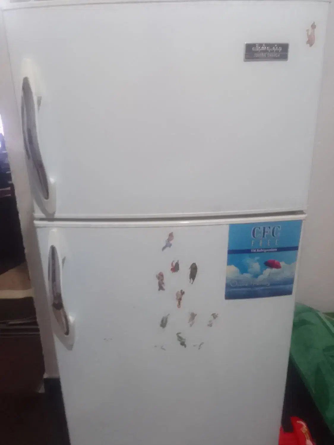 یخچال فریزر دو درب|یخچال و فریزر|جیرفت, |دیوار