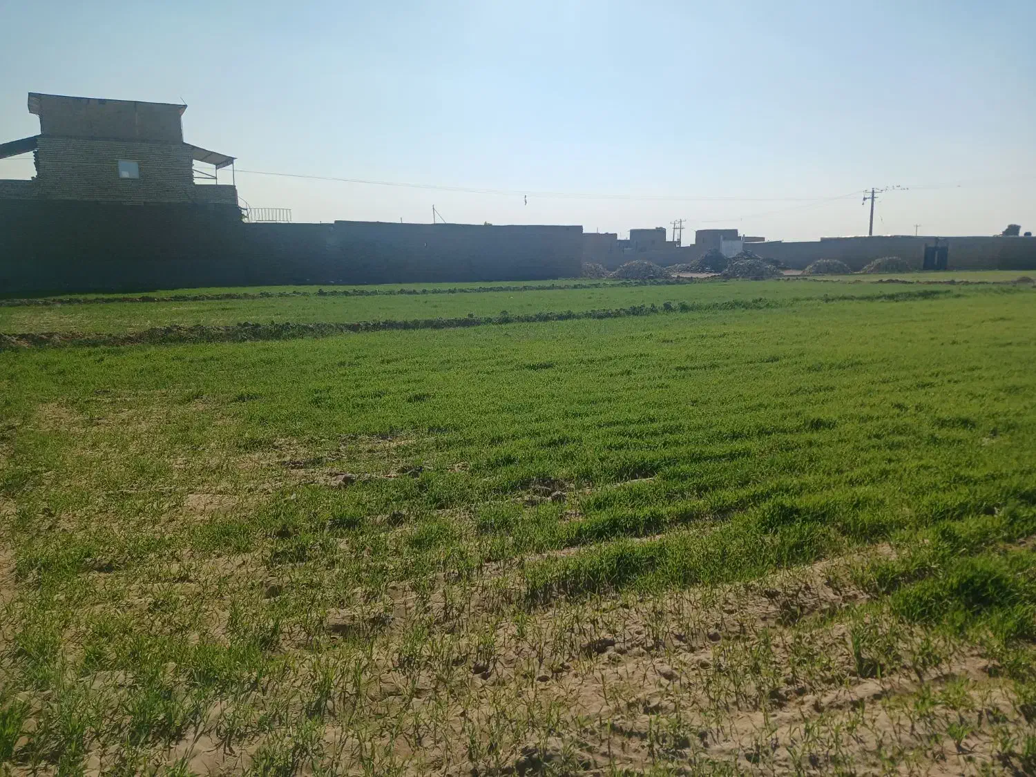 زمین مناسب جهت دامداری|فروش دفتر صنعتی، کشاورزی، تجاری|سبزوار, قصبه شرقی|دیوار