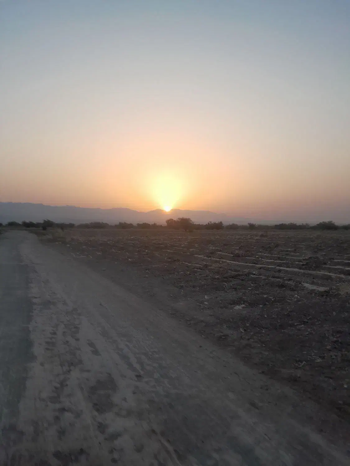 زمین برای فروش|فروش زمین و ملک کلنگی|فاریاب, |دیوار