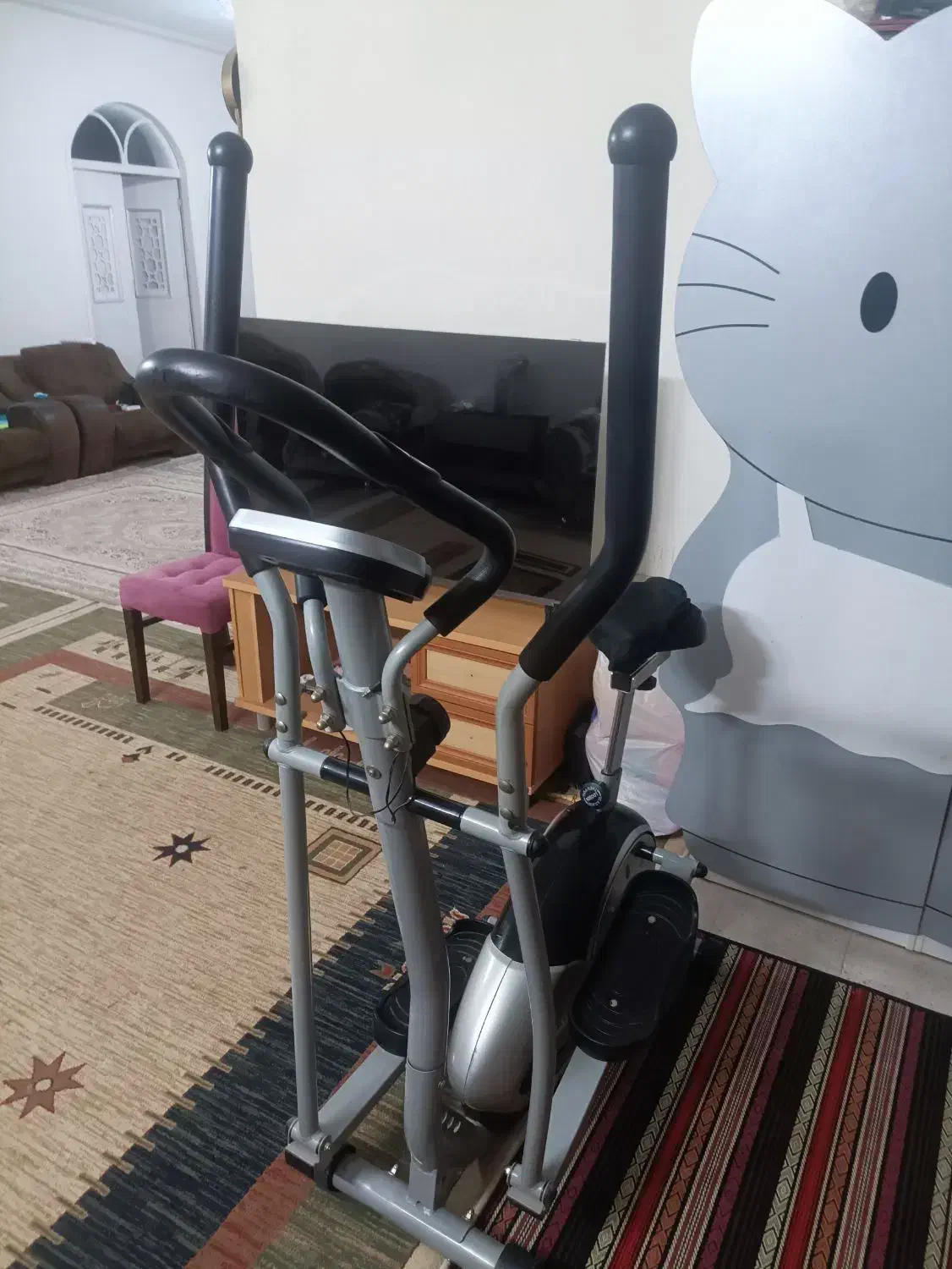 دوچرخه اسکی فضایی|تجهیزات ورزشی|شیراز, شهرک پردیس|دیوار