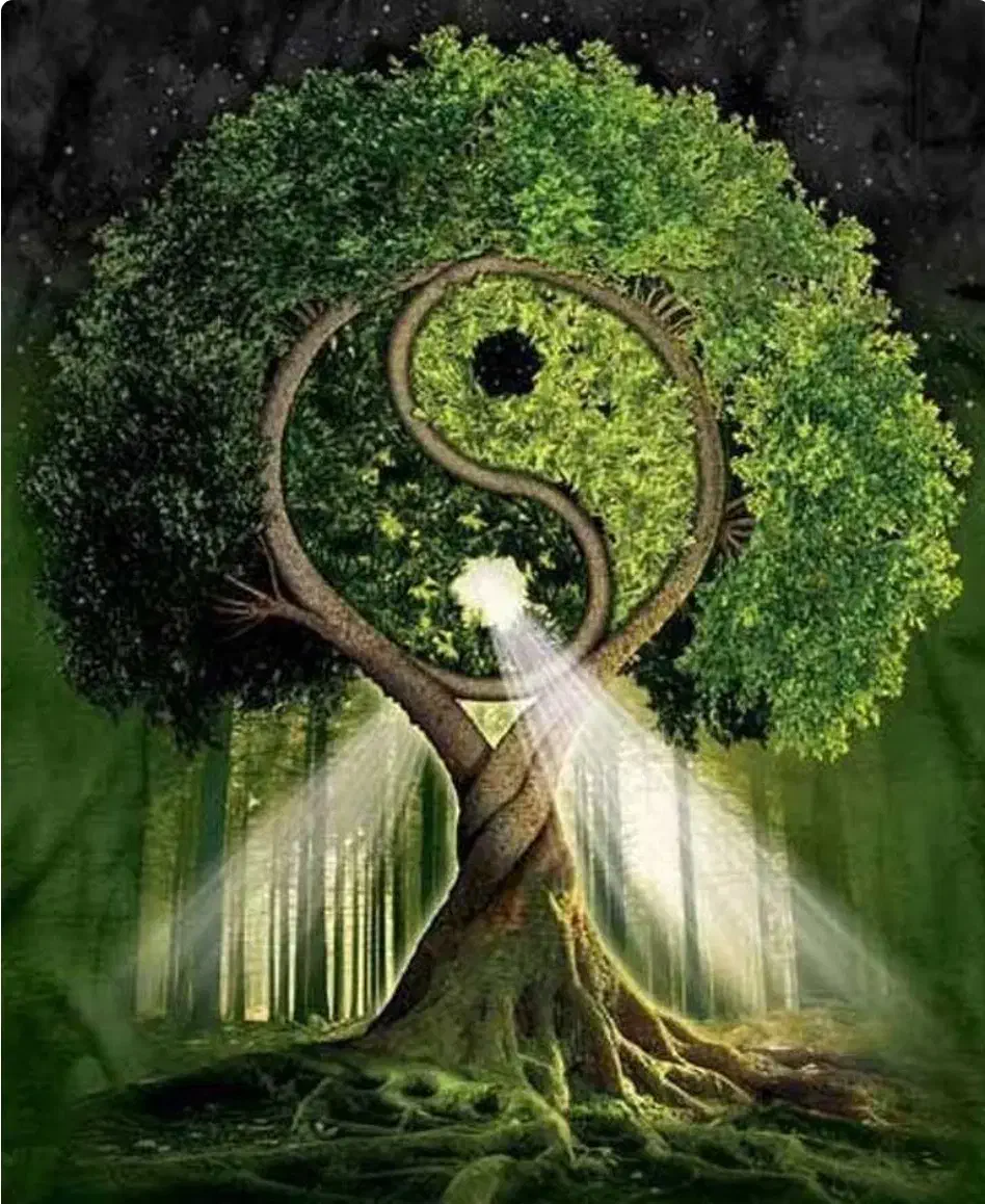 تابلوهای مدیتیشن و یوگا|تابلو، نقاشی، عکس|کرج, فاز ۳ مهرشهر|دیوار