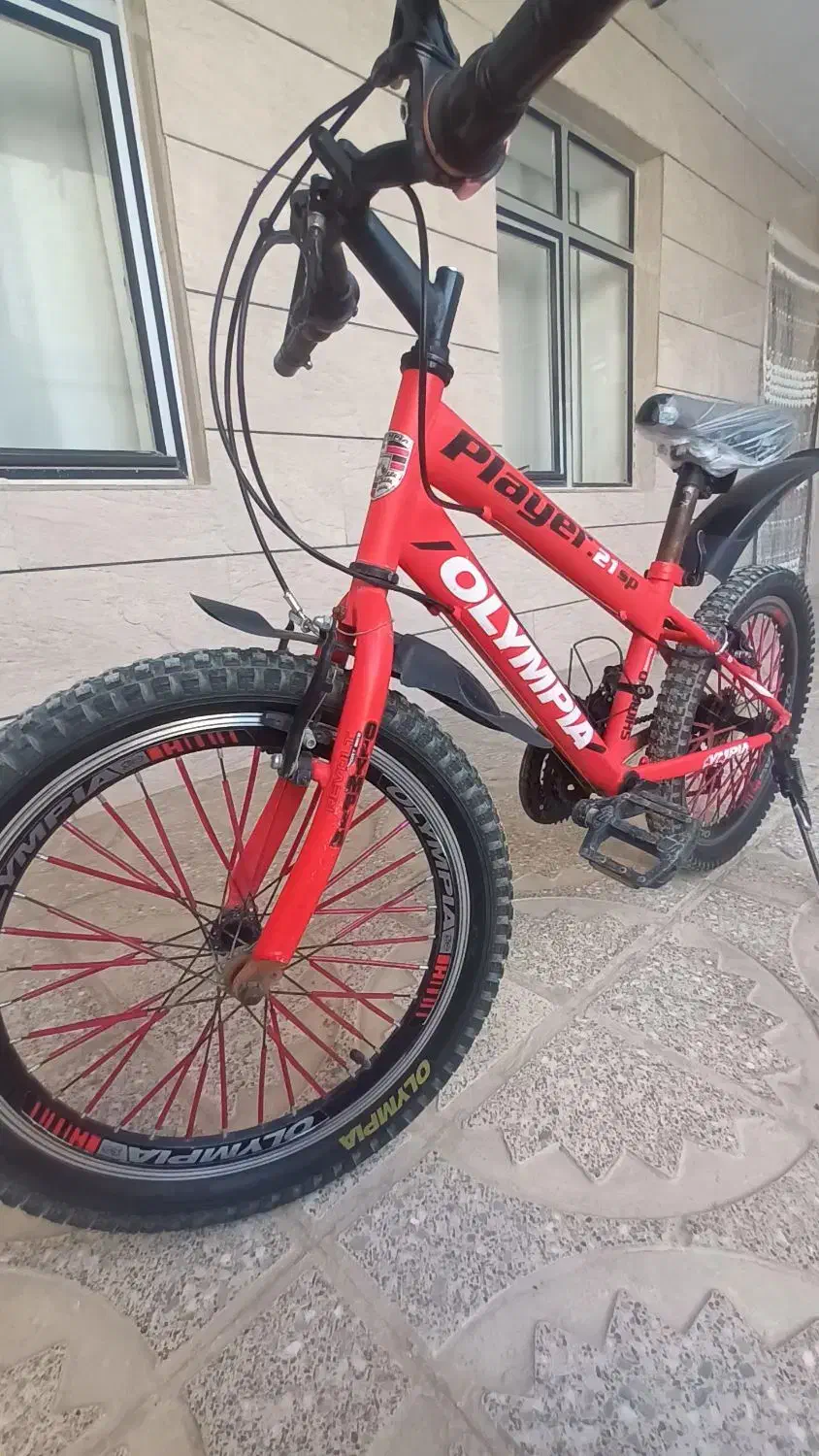 دوچرخه المپیاد سایز ۲۱|دوچرخه، اسکیت، اسکوتر|کبودرآهنگ, |دیوار