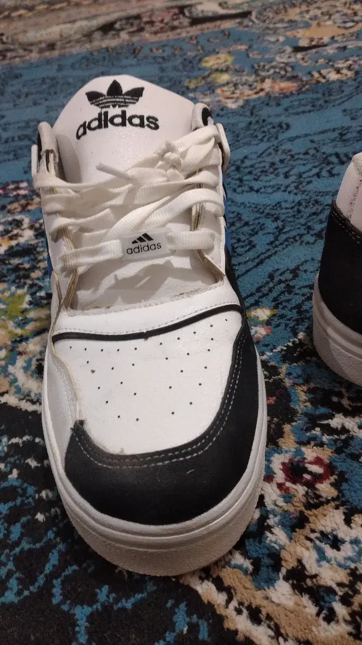 کفش نو نو|کیف، کفش، کمربند|بندر امام خمینی, |دیوار