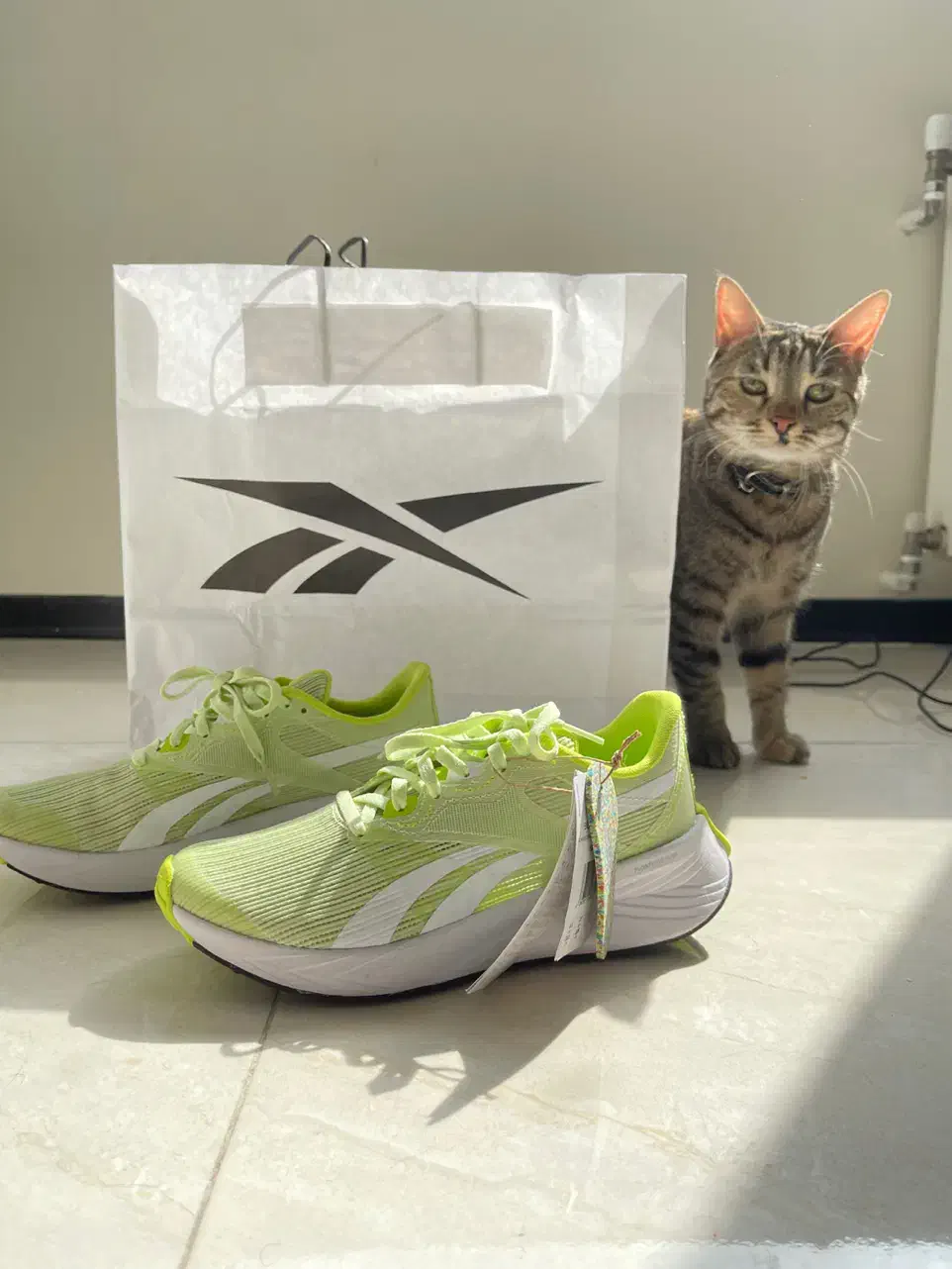 کفش Reebok|کیف، کفش، کمربند|شیراز, قدوسی شرقی|دیوار